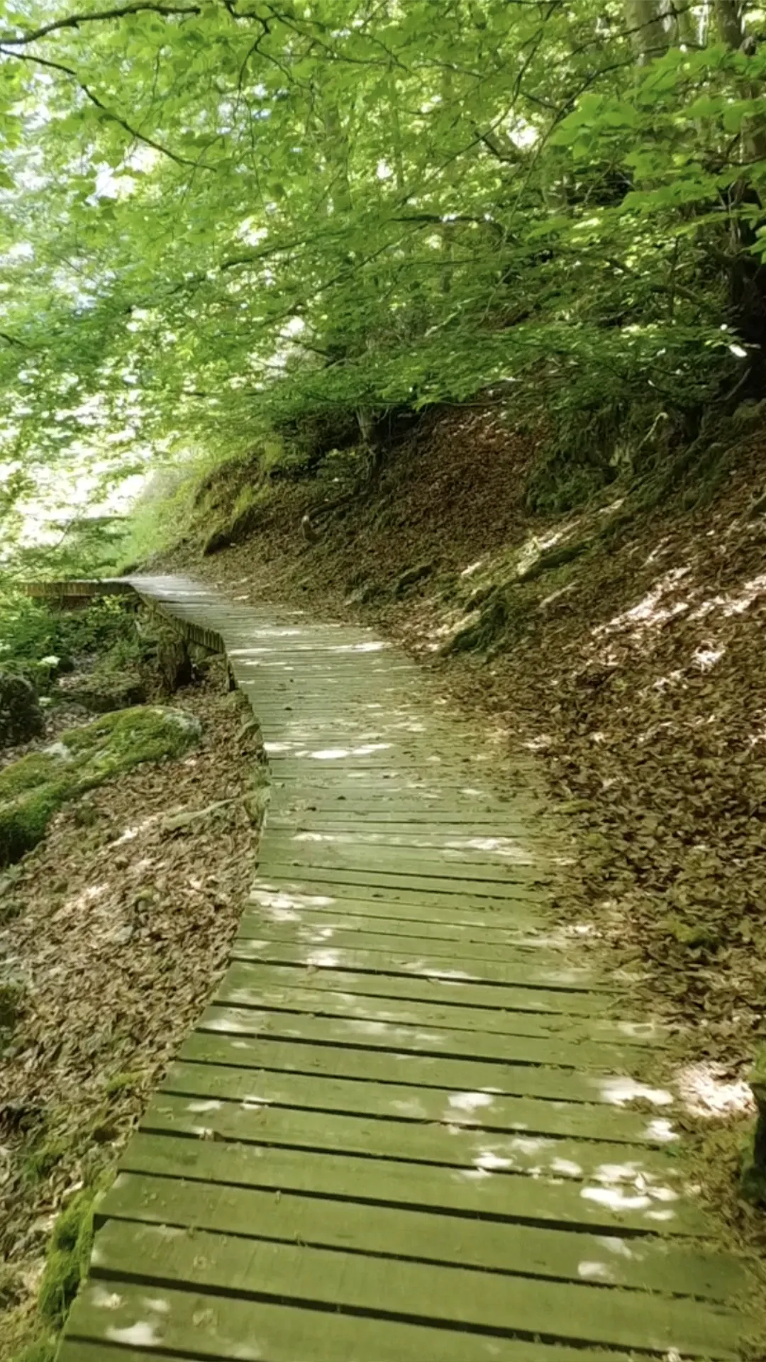 Pasarela de madera del Faedo de Ciñera
