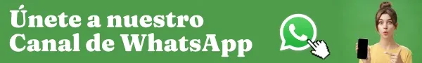 Canal de WhatsApp — Ciñera